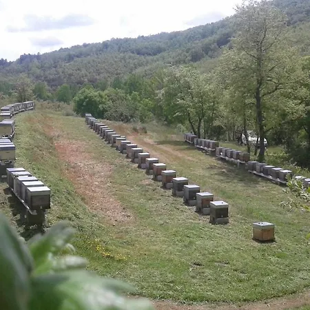 Apimonte O Cantinho Da Maria - Pn Montesinho بيت للعطل *