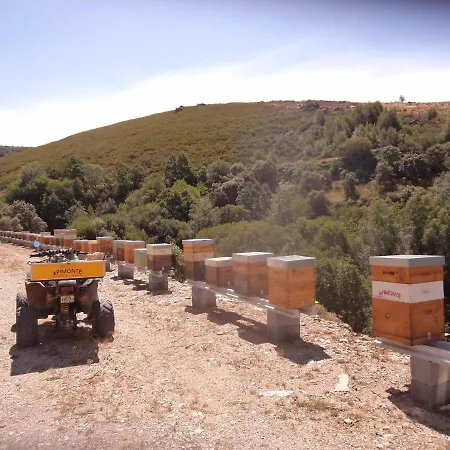 Apimonte O Cantinho Da Maria - Pn Montesinho بيت للعطل *