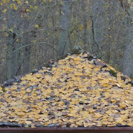 Apimonte O Cantinho Da Maria - Pn Montesinho *