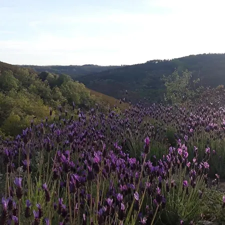 Hébergement de vacances Apimonte O Cantinho Da Maria - Pn Montesinho *