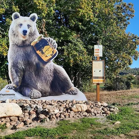 Vakantiehuis Apimonte O Cantinho Da Maria - Pn Montesinho Bragança