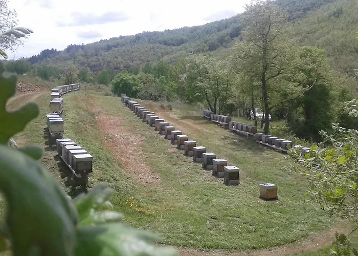 Apimonte O Cantinho Da Maria - Pn Montesinho Ferienhaus *
