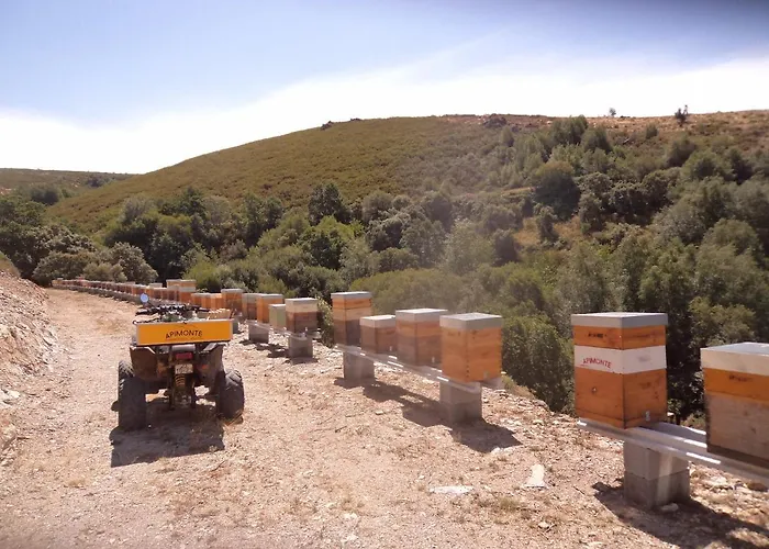 Apimonte O Cantinho Da Maria - Pn Montesinho Casa vacanze *