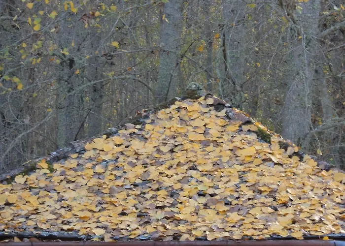 Apimonte O Cantinho Da Maria - Pn Montesinho *